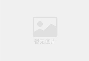 蓝天袋式除尘器